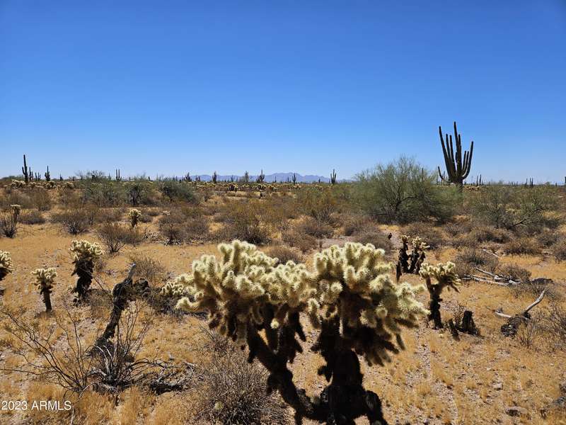 0 W Painted Wagon Trail #98, Wittmann, AZ 85361