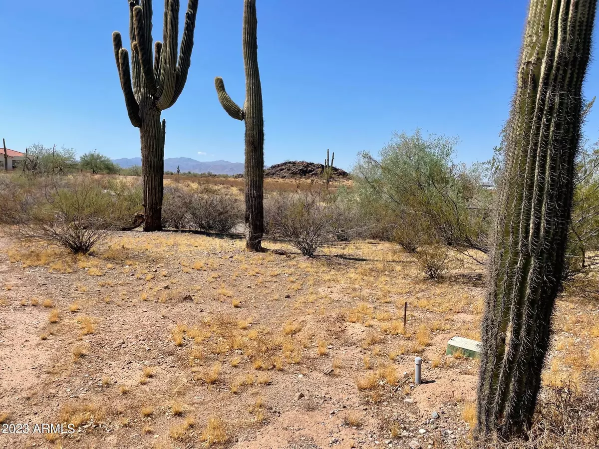 Surprise, AZ 85387,157 W Desert Vista Trail #-