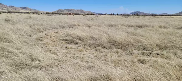 Elgin, AZ 85611,22505 E YELLOW ROSE Lane #-