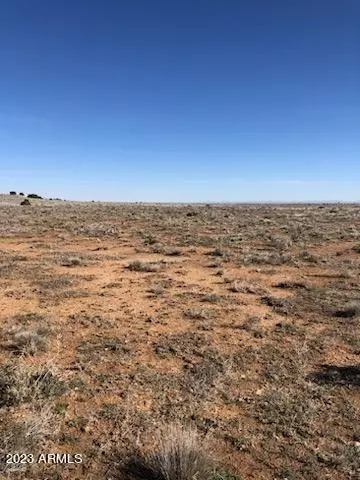 Heber, AZ 85928,663 Chevelon Canyon Ranch -- #663