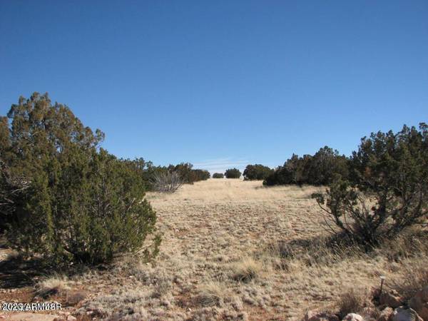 Heber, AZ 85928,6091 River Run Drive #397