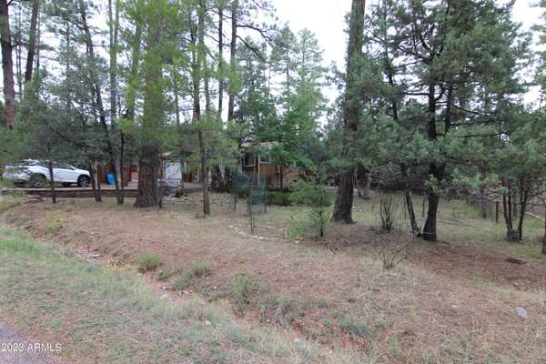 Pine, AZ 85544,6404 W JAN Drive