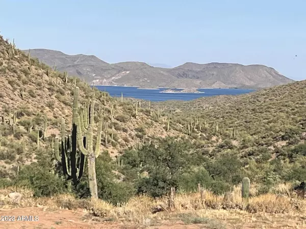 Morristown, AZ 85342,0 N Cow Creek Road #50-Temp Parcel 1