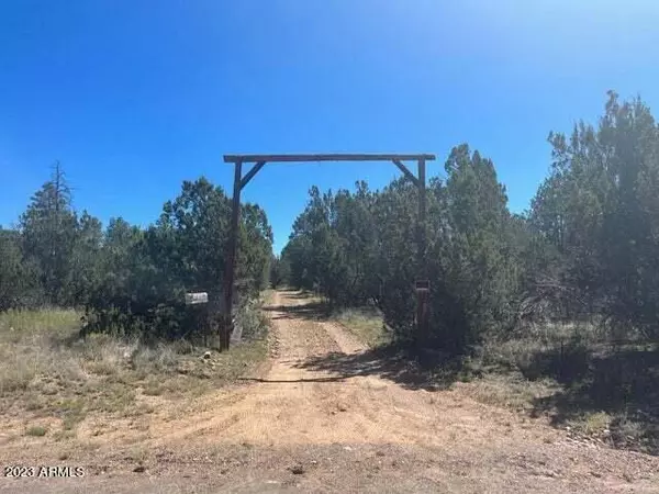 3233 BIGLER Road, Overgaard, AZ 85933