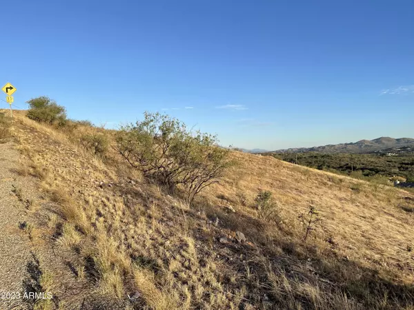 Rio Rico, AZ 85648,49 CAMINO PESQUEIRA -- #21