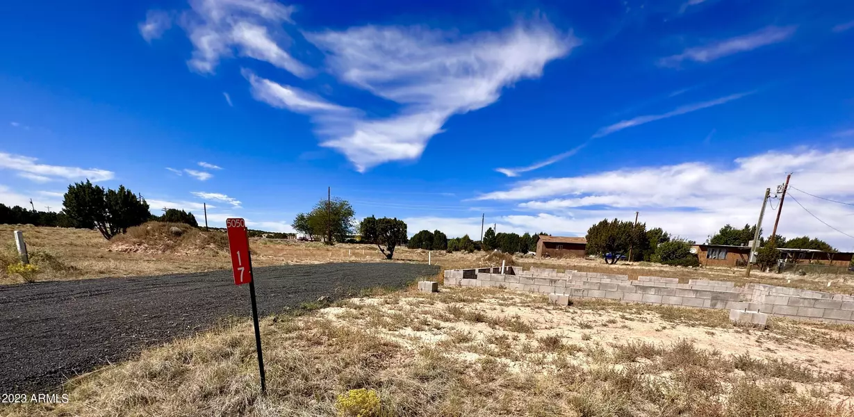 17 County Rd 5050 -- #1, Concho, AZ 85924