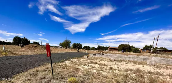 17 County Rd 5050 -- #1, Concho, AZ 85924