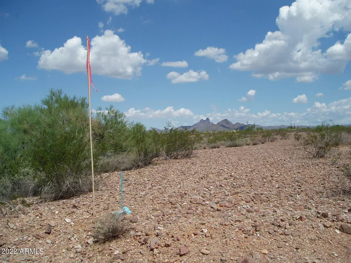 Unincorporated County, AZ 85390,32820 W Painted Wagon Trail #59