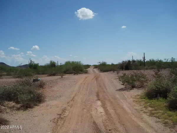 Unincorporated County, AZ 85390,32820 W Painted Wagon Trail #59