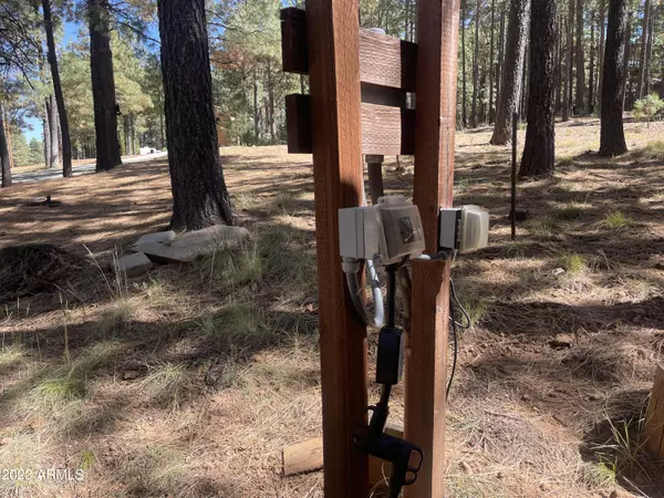 Forest Lakes, AZ 85931,2215 JOE SPRINGS Drive #505