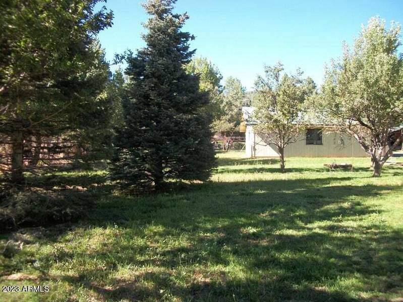 8552 W DEER Drive, Pine, AZ 85544