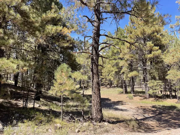 Flagstaff, AZ 86005,2707 HAPPY TRAILS Drive #16