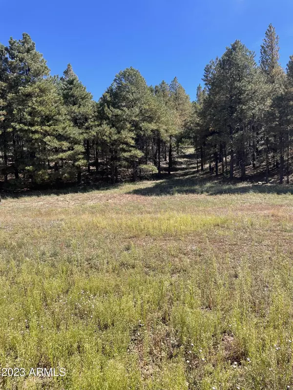 Flagstaff, AZ 86005,2707 HAPPY TRAILS Drive #16