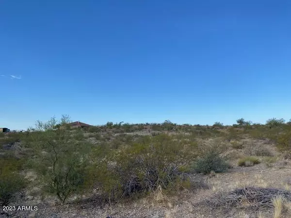 Wickenburg, AZ 85390,0 S Twisted Iron Trail #4
