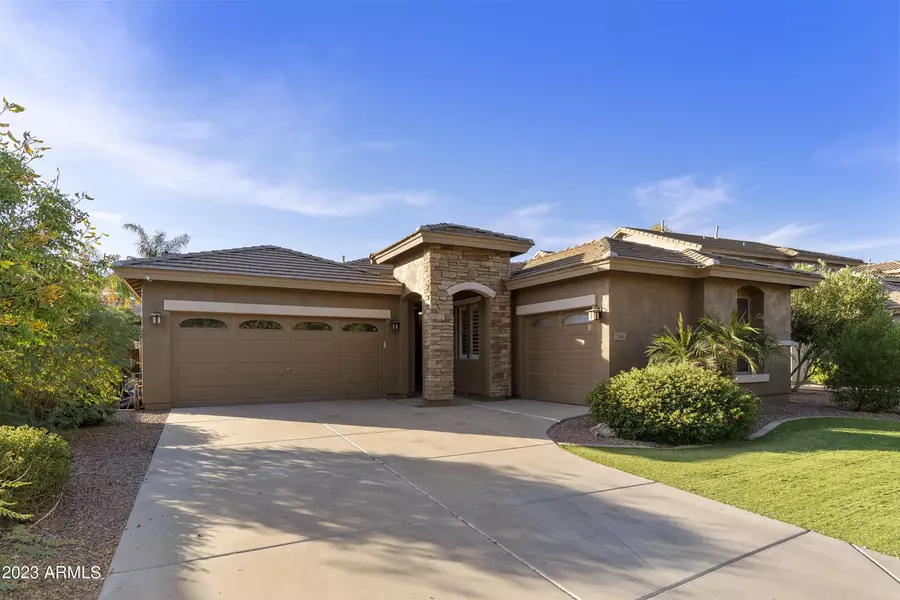 241 W Roadrunner Drive, Chandler, AZ 85286