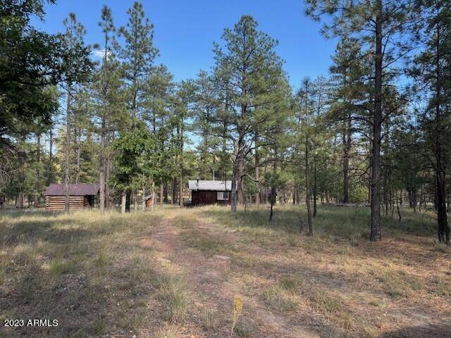 2169 BLUE RIDGE Drive, Happy Jack, AZ 86024