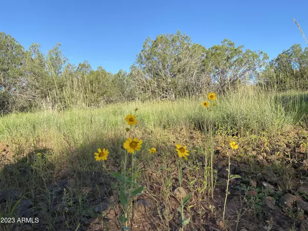 Ash Fork, AZ 86320,1917 W Foothills Drive #-