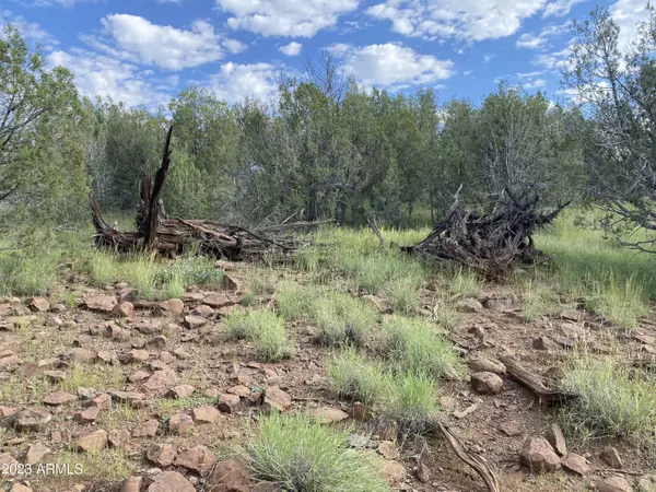 Ash Fork, AZ 86320,1917 W Foothills Drive #-