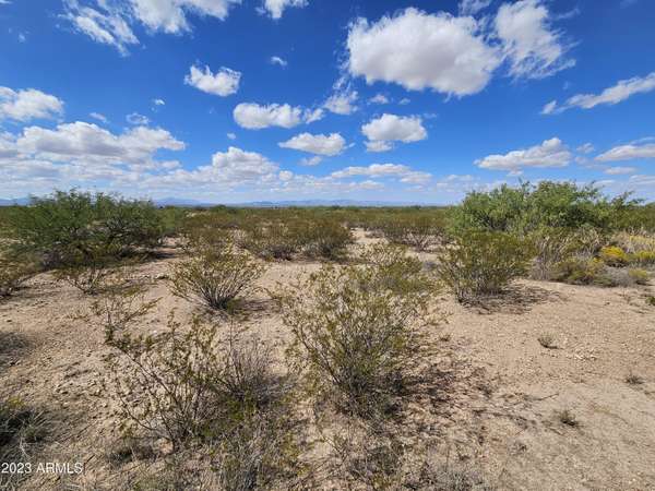 Douglas, AZ 85607,TBD -- #-