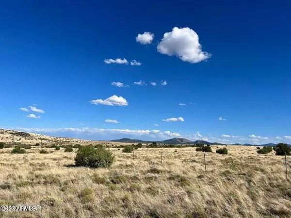 Vernon, AZ 85940,Ridge Lot #93 -- #93