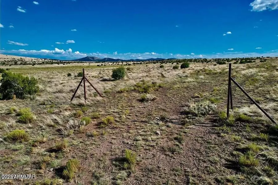 Ridge Lot #93 -- #93, Vernon, AZ 85940