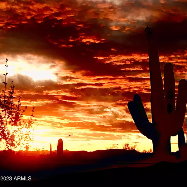 Anthem, AZ 85086,2433 W TURTLE HILL Drive