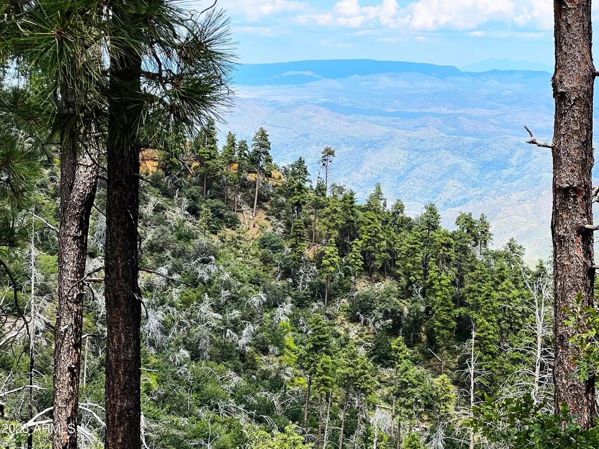 Crown King, AZ 86343,Black Diamond Road #-