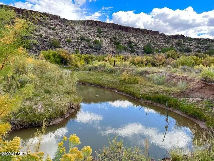 St Johns, AZ 85936,Co Rd 4008 80 Acres -- #-