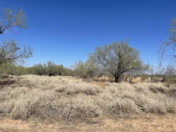 Wittmann, AZ 85361,25450 W Gambit Trail #-