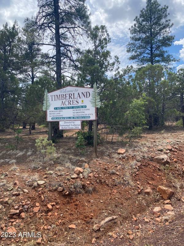 Show Low, AZ 85901,6285 Loggers Lane #375