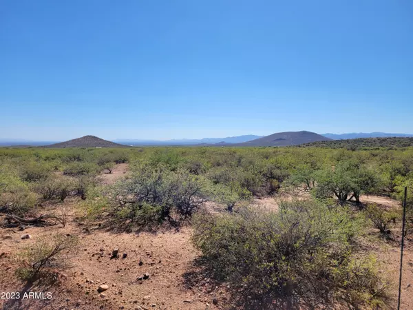 Elfrida, AZ 85610,36 N Stagecoach Pass #11102027