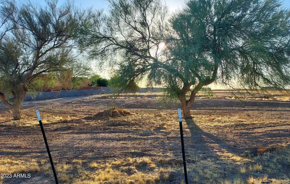 30326 N 229TH Avenue #-, Wittmann, AZ 85361