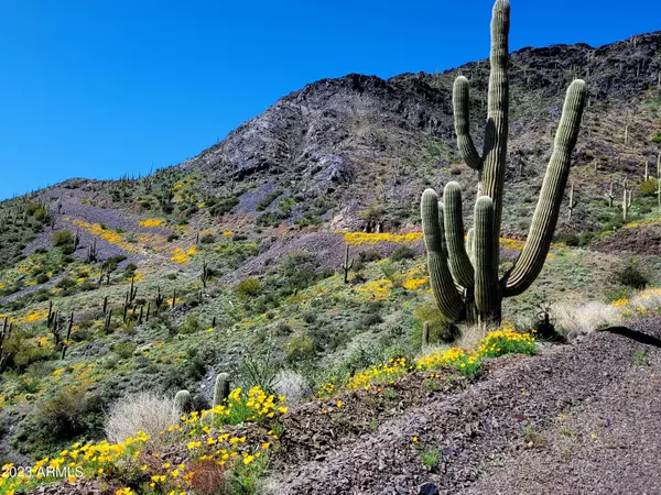 Cave Creek, AZ 85331,8545 E Sierra Vista Drive