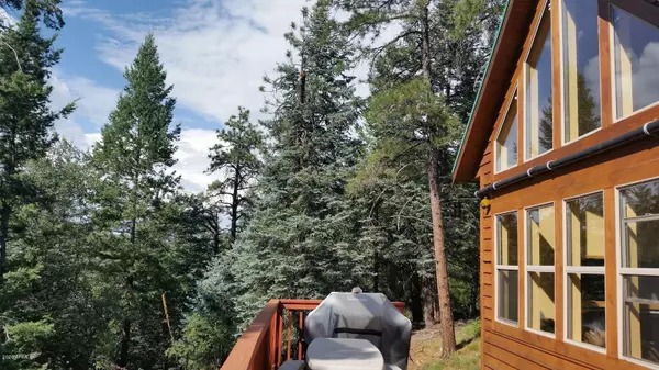 Prescott, AZ 86303,9975 S SHORT PINE Trail