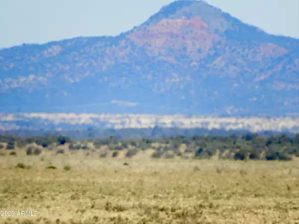 Williams, AZ 86046,5818 S QUIVERO Road #286B