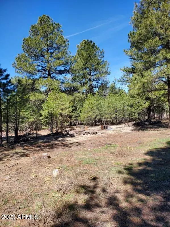 Parks, AZ 86018,138 S Kaibab Avenue #-