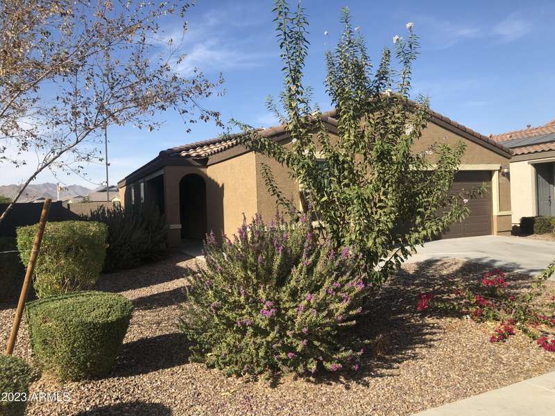 20022 W WILSON Street, Buckeye, AZ 85326