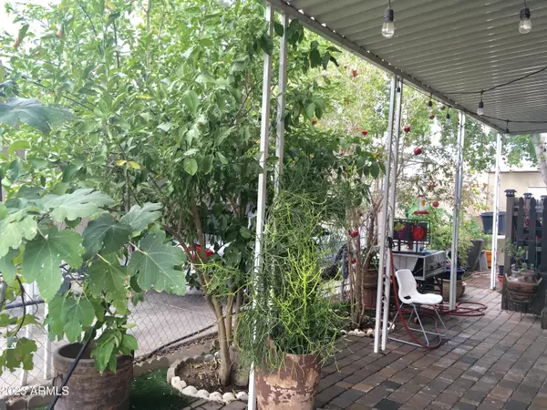 Glendale, AZ 85301,8601 N 71st Avenue #56