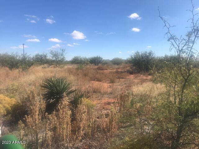 Bisbee, AZ 85603,1113 W Purdy Lane #Lot 1