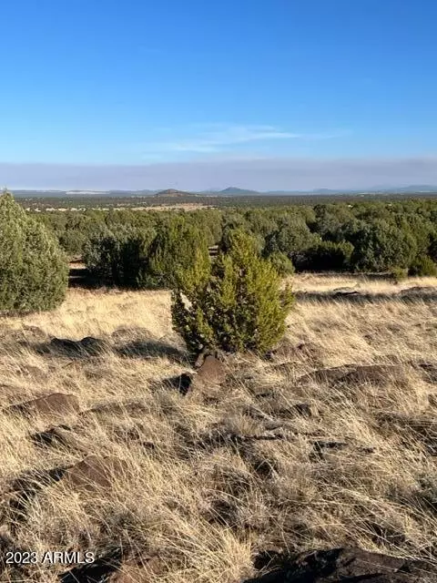 Show Low, AZ 85901,COLT Lane #-