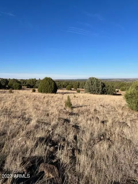 Show Low, AZ 85901,COLT Lane #-