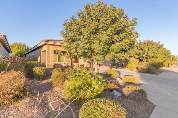 San Tan Valley, AZ 85140,1494 W PRINCESS TREE Avenue