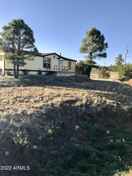 1142 S Lone Pine Dam Road, Show Low, AZ 85901