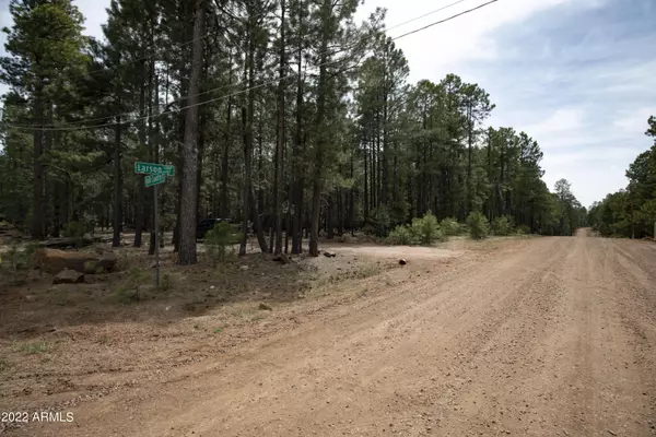 Forest Lakes, AZ 85931,1924 QUILT COUNTRY Drive #781