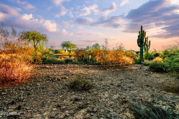 Gold Canyon, AZ 85118,7274 E WILDERNESS Trail #15