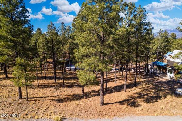 Flagstaff, AZ 86005,2478 E DEL RAE Drive #203