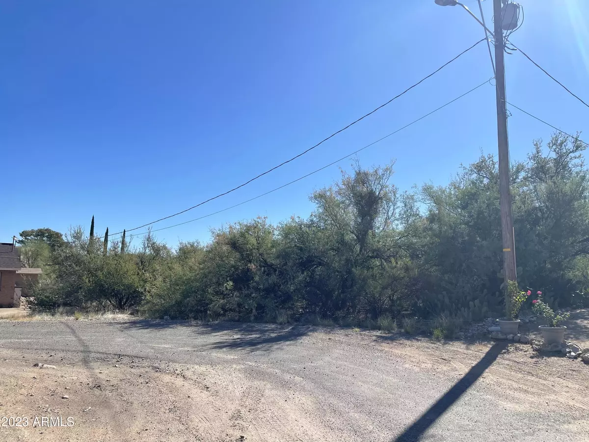 Rio Rico, AZ 85648,1324 RENDA Court #44