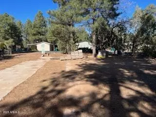 Show Low, AZ 85901,3041 W YOUNG -- #47PER