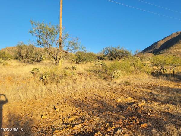 Rio Rico, AZ 85648,1889 CIRCULO TORTUGA -- #289