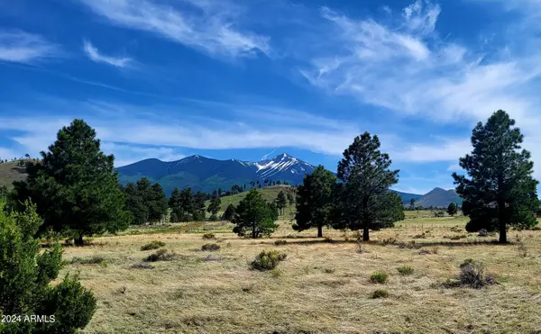 Flagstaff, AZ 86001,21115 Summit Drive #9